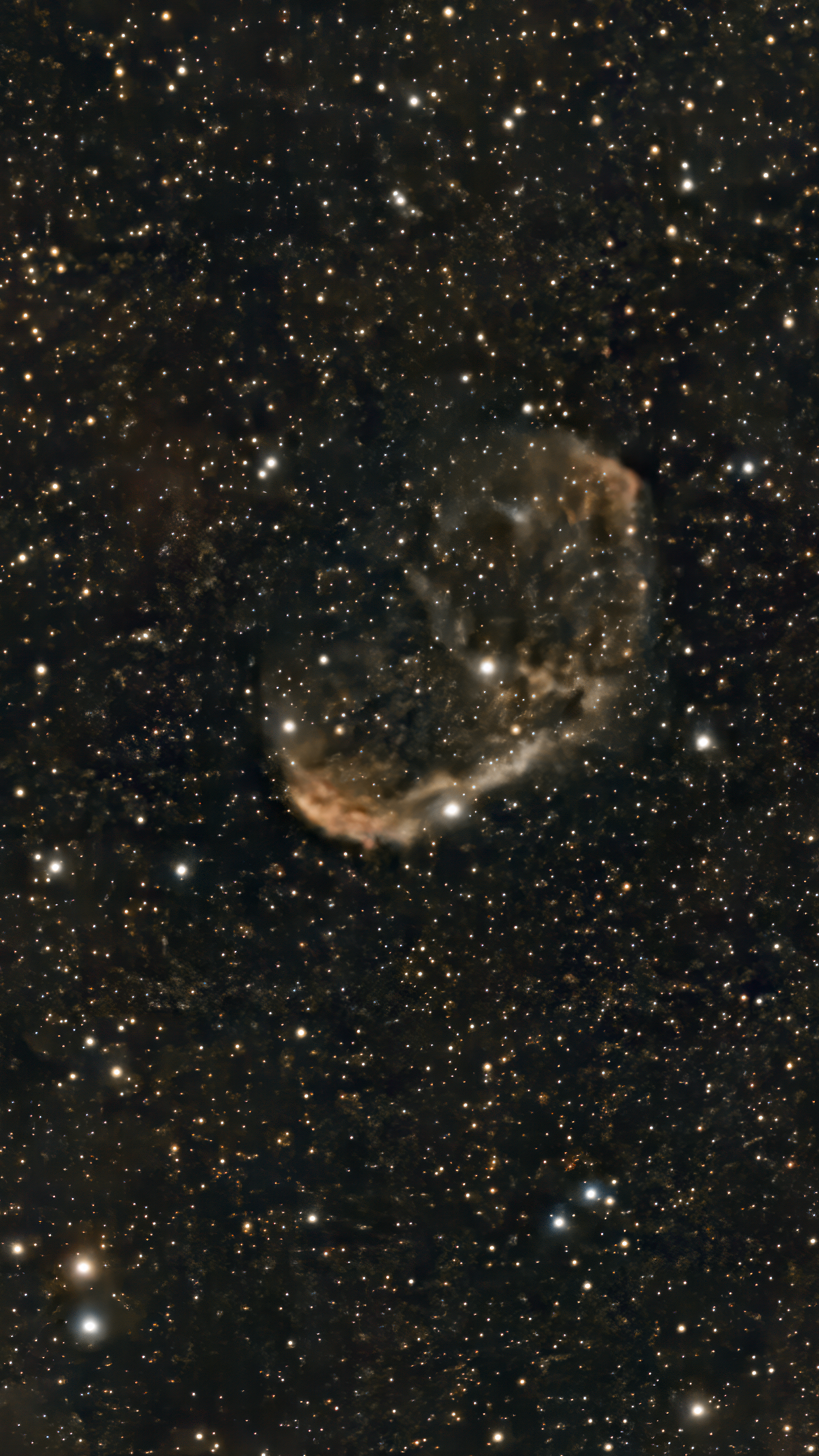 NGC 6888 Crescent Nebula